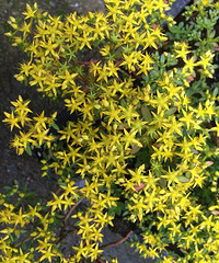 ����ʲô��