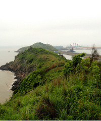 �����ٺ�ͷ�ŵ�