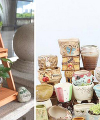 ��5���н�����������л���û���+���չ�