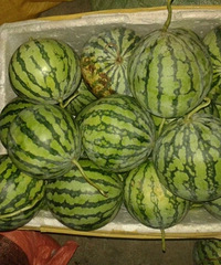 ���Գ�������