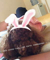 ��������Ұ�