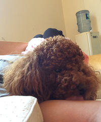 [������]+��������Ұɣ������Ӷ���ȥ �ð���̫���粢�硭��