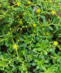 ��˵���Ǳ������Һ�ǰ��ʱ��û�аε���