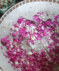 ����õ�崿¶