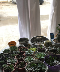 Ư�����������