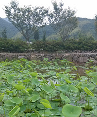 ���µĻ���