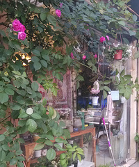 ת��������