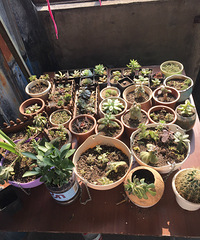 Ư�����������