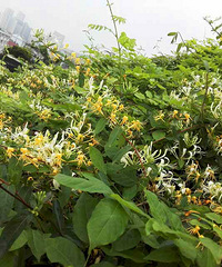 ������������������