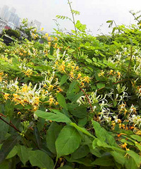 ������������������