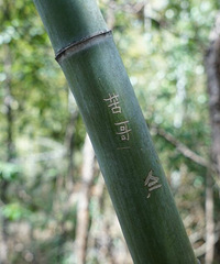 �²��� ˭�̵ģ�