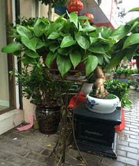 ��̨�ݶ��⻨��Ȧ��--����ƪ