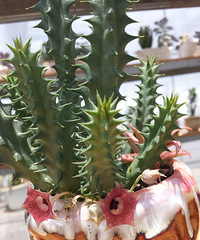 ���ݱ�ɫ--����1