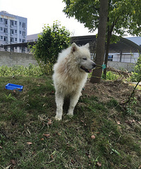 ����ֻ��ĦҮ������