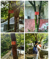 5.14���һ����˶�־Ը����ӣ������֪ͨ