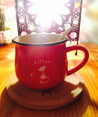 �Ի�����֤ ���쵽�ˣ������ƼҳԱ���~