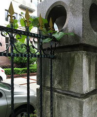 ������˼�ǿ