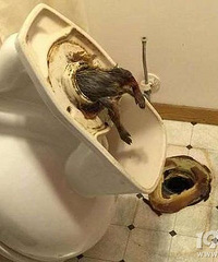 ���Ӱ�ҹ�ϲ�����������������Ͱ��˲��ɵ��