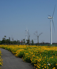 �һ����������ۣ�����ʢ��������