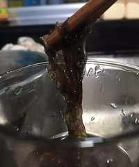 "上个月去了菜市场买紫菜,店家推荐了最好吃"