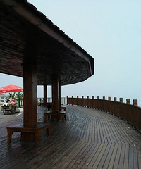 海岸风景线:温岭滨海绿道,骑骑自行车,吹吹海风~