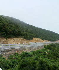 海岸风景线:温岭滨海绿道,骑骑自行车,吹吹海风~