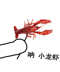 [�Ի�]����ͷ��ڶ�������Ʊ��������