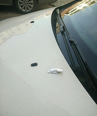 ����ˬ���˱����ӣ�