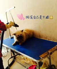 ����������㡿�����ռ�֮ ����ʯ��һ����