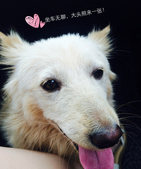 ����������㡿�����ռ�֮ ����ʯ��һ����