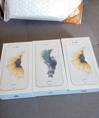 6S����3890Ԫ