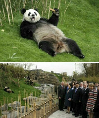 ��֪����η? ���ܴ�ü������Ȩ��