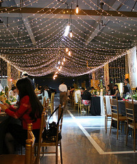 �Ի�������֮��·��԰�������