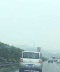 ���ĵ�ʮ���� ����ʲô��