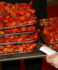 �����Ϻ����ݣ�����1375����æ�����������Ϻȯ