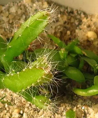 [�Ƽ�]�������������� ������ô�ֳ����ģ�