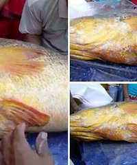 �й���������18����������һ���㣬����������