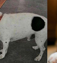 �н����� #������# ɹ�ȳ�������� Ӯȡɽ���ͺ����̻�