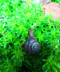 ���Ļ��������붷��