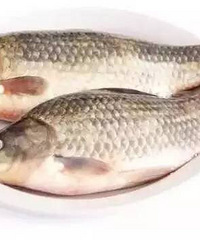 ����ϴ�˷�������Ĳ˸ɾ���һ���涼û�У�