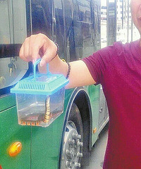 ���Ӵ����Ϲ������� �����ӳ�������