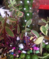 ���������ҵ�������������ʲô��