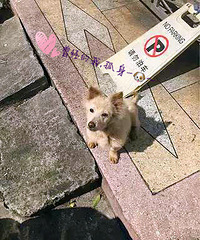 ���ȳ������Դ��19¥������19¥