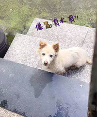 ���ȳ������Դ��19¥������19¥