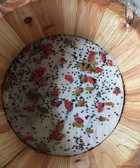 ��̨��𤣬��������