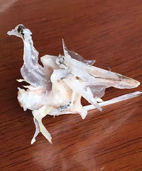 24Т�Ϲ����� ���Э�黹��С3д��