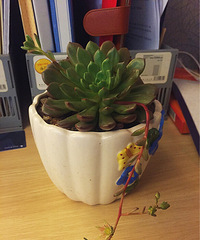 ���Ķ��⿪����