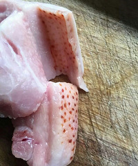 ����������Գ���