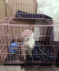 ��ʹ�ת��2�����´��ֱ�����Ȯ��Ůһö