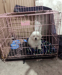 ��ʹ�ת��2�����´��ֱ�����Ȯ��Ůһö